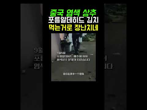 중국은 대체..