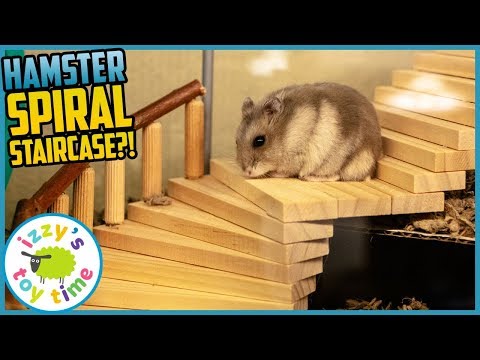HAMSTER UPGRADES! Izzy's Toy Time makes some wood toy MEGA UPGRADES! Fun Toys