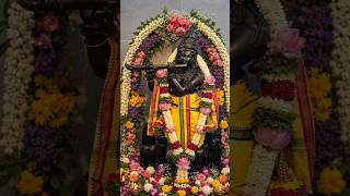 Lord Sree Krishna Janmashtami Pooja | Lord Sree Krishna Janmashtami Celebrations #shorts #ytshorts