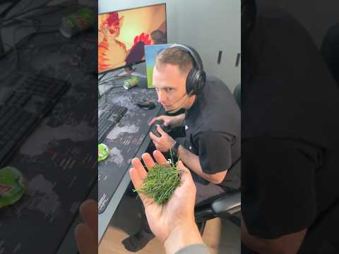Helping a Gamer Touch Grass