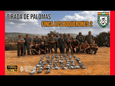 TIRADA DE PALOMAS 2024 | FINCA  BOQUERONES 2 | C.D. CAZADORES VIRGEN DE VILLAVICIOSA