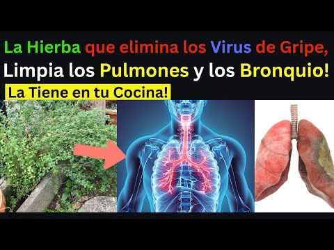 la Hierba que elimina los virus de Gripe, Limpia los Pulmones y los Bronquios y mas