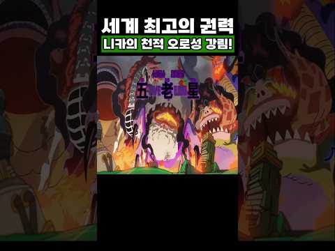 원피스) 니카의 천적 오로성 강림!