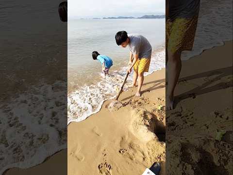 พี่เซียนฝังแมงกะพรุนตุย #เซียนซิน #zianzin