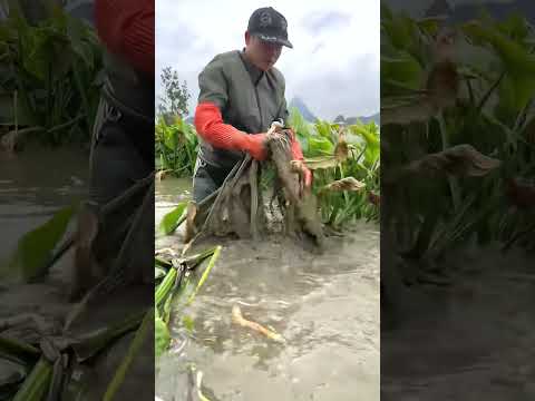 #agricultural #agriculture #farming #agro #farmlife #agricoltura #technology #farm #food #diy