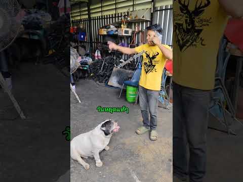 เมื่อลูกค้าโทรมาให้ไปเปลี่ยนยาง ทีมงานก็พร้อมไปทันที #funny