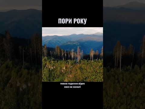НОВЕ ВІДЕО НА КАНАЛІ #карпати #природа #travel #hiking #nature