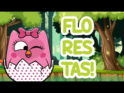 Maratona Conhecendo a NATUREZA 🌳 +50min | Bubu e as Corujinhas