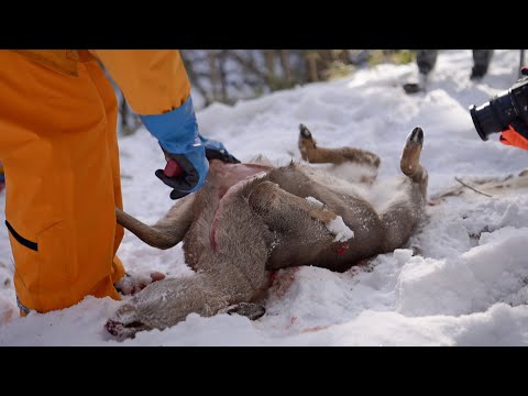 -10℃。極寒の雪山で獲れたシカでBBQ。至高の贅沢。