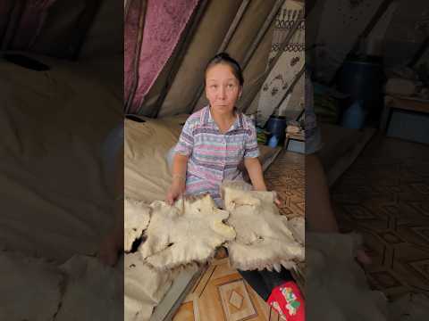 😳 Как исползуют шкуры оленя!!! #рекомендации #рекомендации #топ #ямал #север