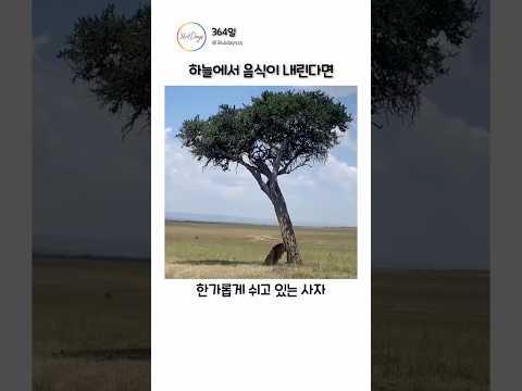 하늘에서 음식이 내린다면