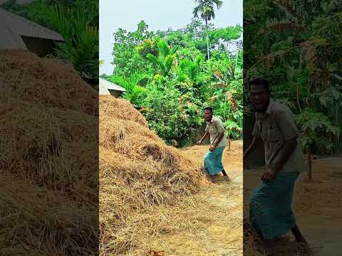 #funny#comedy #funny #funnyvideos