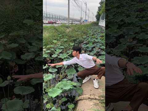 แผนการเอาใจแม่