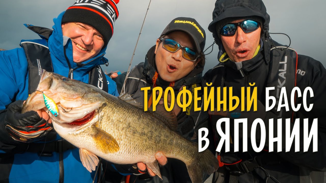 ТРОФЕЙНЫЙ БАСС! Ловля большеротого окуня с лодки в Японии