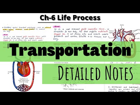 Life Processes|| Topic- Transportation|| DETAILED NOTES 🔥Ch-6 Class 10 Science|| Cbse