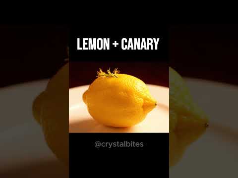 ASMR Fruit Metamorphosis 🍋➡🐦 Canary Edition