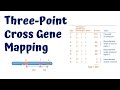 Genetic Mapping and Recombination