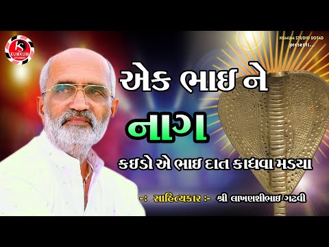 એક ભાઈ ને નાગ કરડો તોય દાંત કાઢે || લાખણશીભાઈ ગઢવી || Sahityakar Lakhanshibhai Gadhvi || Dayro