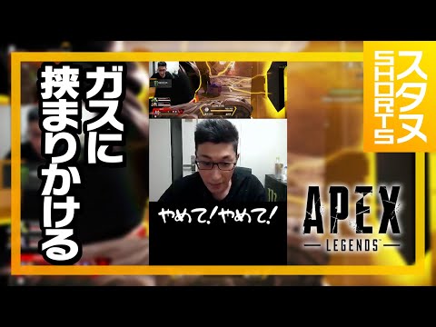 ガスに怯えるスタヌ #Shorts【ApexLegends】