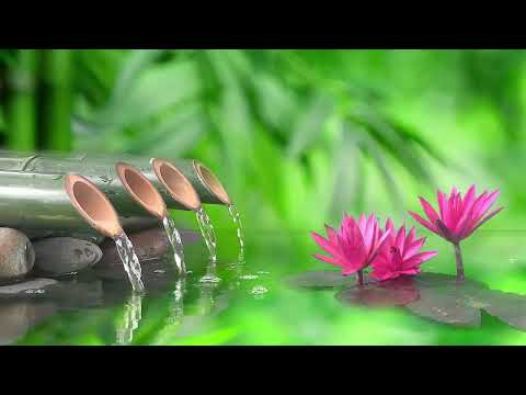 Hermosa música de piano - Bambú, Música tranquila, Música relajante, Música de meditación, Calma