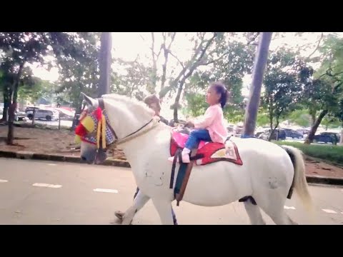 Yankee doodle | Fatimah riding a horse | Fatimah and family