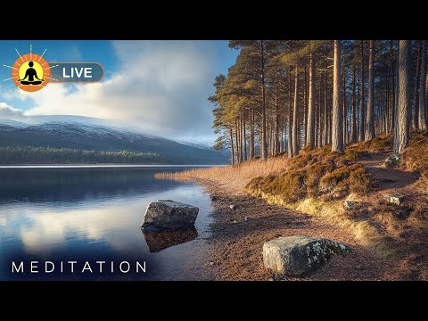 &#128308; Meditation Music For Inner Calm And Mental Clarity | Quiet Your Mind And Just Breathe