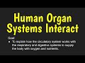 Human Body Systems and Functions