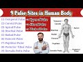 Understanding Pulse Points in the Body