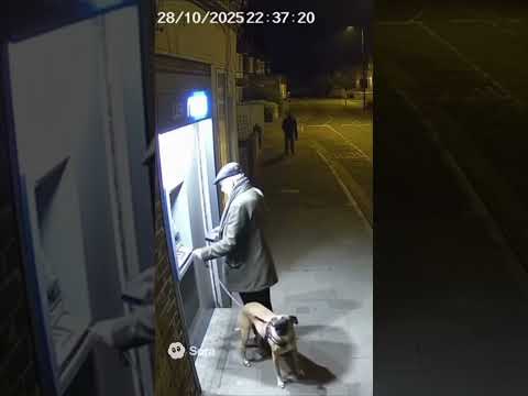 The Dog Felt Something… Then This Happened 😱🐶