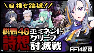 【FF14】詩想エミネントグリーフQ40攻略 Day1【ピルグリム・トラバース】