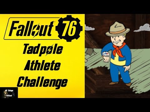 tadpole movie wiki tadpole movie wiki