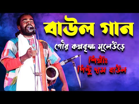 গৌর কল্প বৃক্ষমূলে উড়ে বসগে যারে মন || পিন্টু দাস বাউল || Baul Gaan