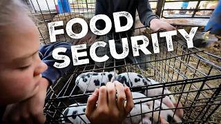 Food Security Starts Here (now)