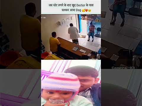 चोट लगने के बाद कुत्ता खुद चलकर Doctor के पास आया