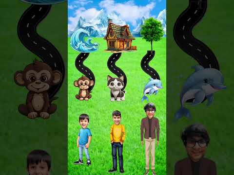 Guess the Right Sequence Challenge! 🐱🐵🐬 #souravjoshivlogs