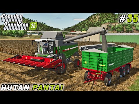 Double Harvest Action: Green Peas & Sunflowers in Farming Simulator 25 | Hutan Pantai Farm | ep #35