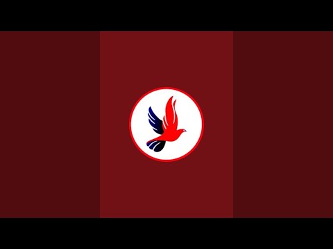 HASAN PIGEONS LOFT is live!