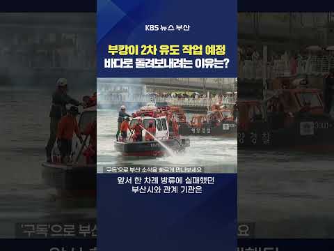 2026.10.02. #부캉이 #상어 북항친수공원 수로 바다 작전 대형그물 워터펌프 김서영기자