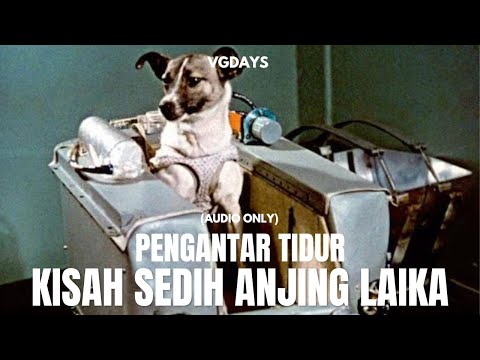Pengantar Tidur: Kisah Tragis Laika, Anjing Pahlawan Tak Bernama dari Luar Angkasa