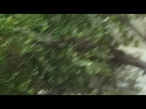 jassi2223f is live! #Govindpuri Nagar kirtan live#🙏🙏