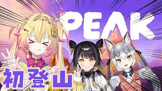 【PEAK】緊急で動画を回していますポポ、初登山！！w /闇依ろいろ・シマハイイロギツネ【家入ポポ / ななしいんく】
