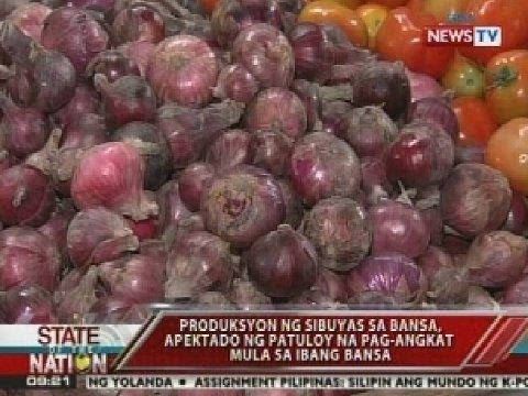 Pagbagsak ng lokal na industriya ng sibuyas, pinangangambahan dahil sa