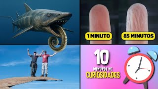 30 COISAS QUE VOCÊ NÃO SABIA EM 5 MINUTOS 🤯🕒 [232]