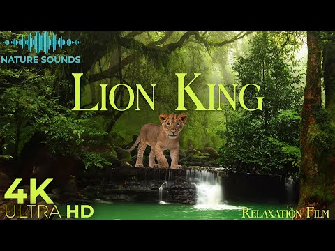 Nature Wildlife 4K &#129409; Nature Relaxation Film - Peaceful Relaxing Music - Animals in Lion King