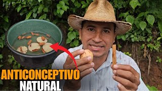 EVITA el EMBARAZO SIN PASTILLAS: MÉTODO NATURAL REVELADO 👉