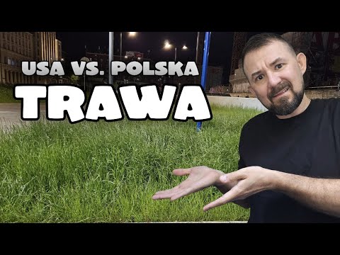 USA vs. Polska - Trawa