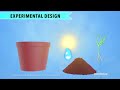Exploring Controlled Experiments in Biology