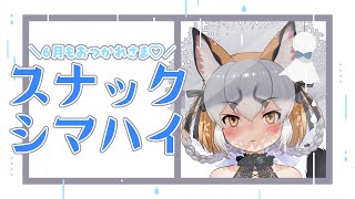【スナックシマハイ/月末雑談】いっぱい楽しいの6月！みんなたち集まれー！【#シマハイシン /シマハイイロギツネ】