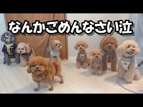 交流会で迷惑行為のゆずぽんでスミマセン...泣