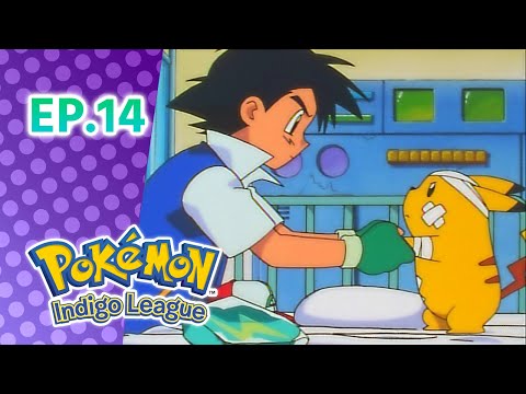 Pokémon: Indigo League एपिसोड 14: Electric Shock Showdown | Pokémon Asia Official (Hindi)